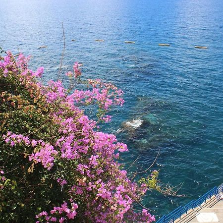 Apartments Madeira Old Town Funchal  Zewnętrze zdjęcie