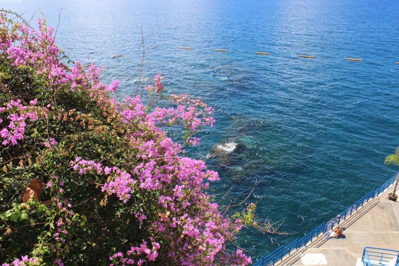 Apartments Madeira Old Town Funchal  Zewnętrze zdjęcie